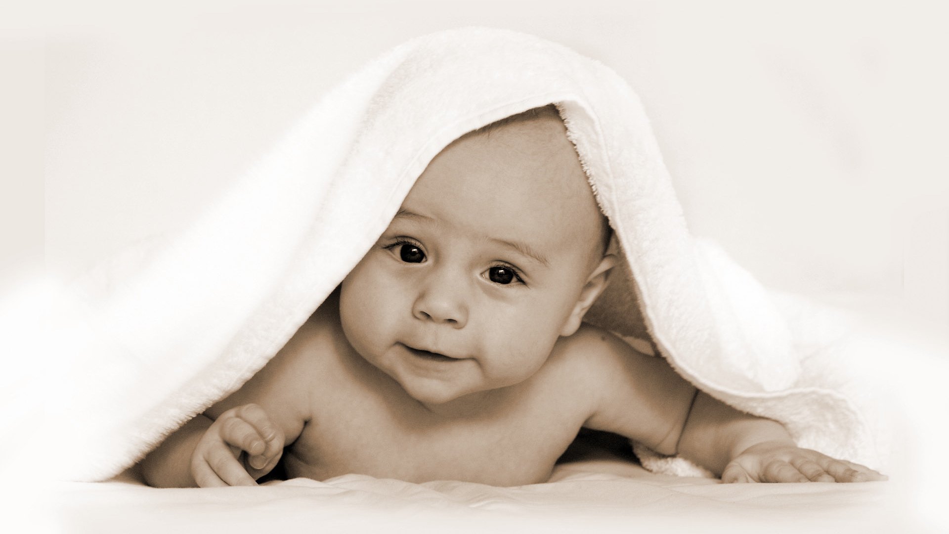 临沂供卵代生人工授精和试管婴儿的成功率